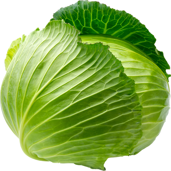 キャベツ